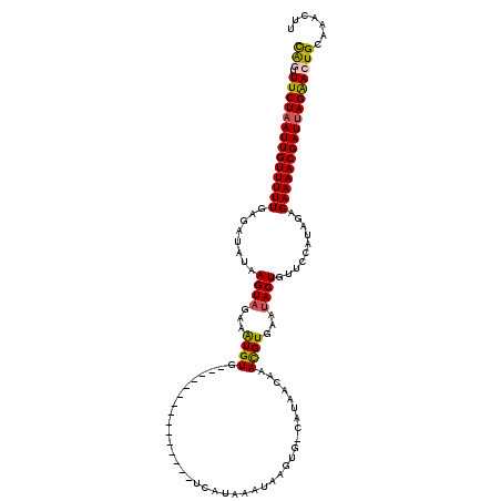 secondary structure