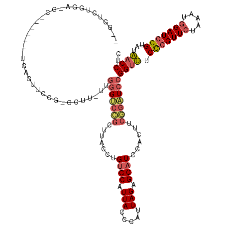 secondary structure
