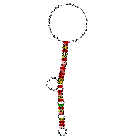 secondary structure