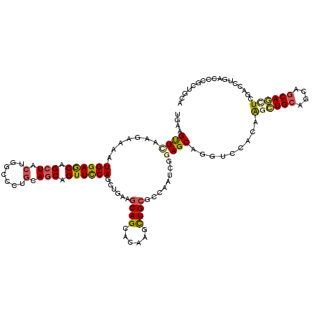 secondary structure