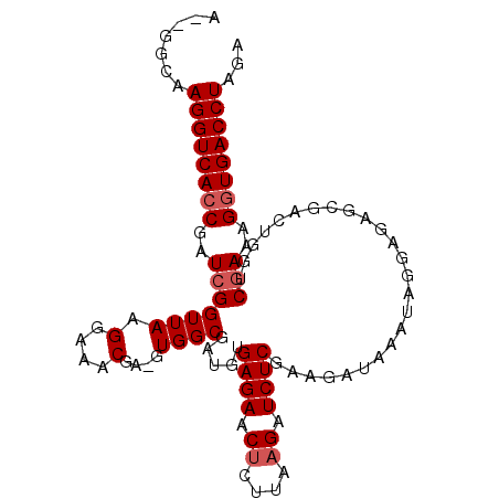 secondary structure