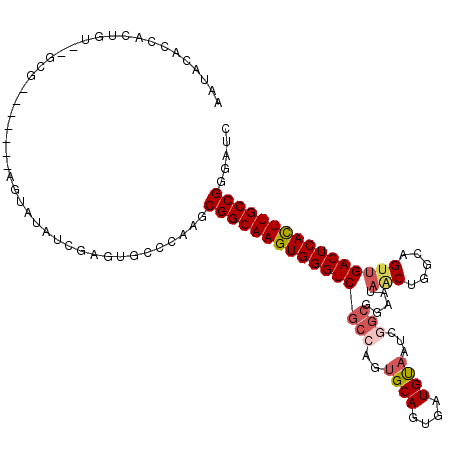 secondary structure