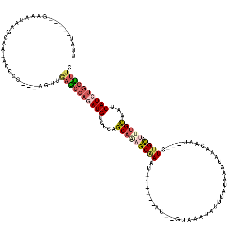 secondary structure