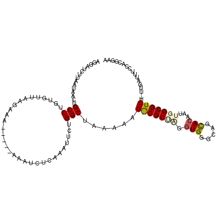 secondary structure