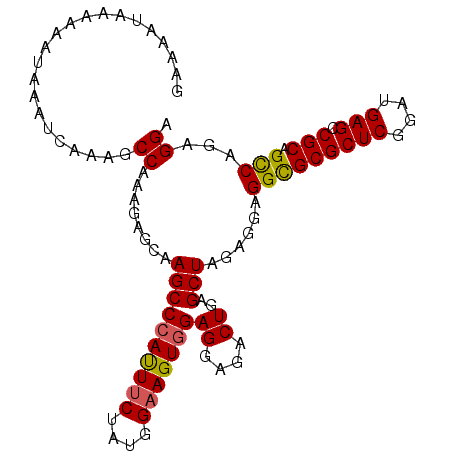 secondary structure