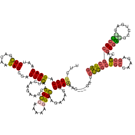 secondary structure