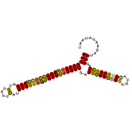 secondary structure