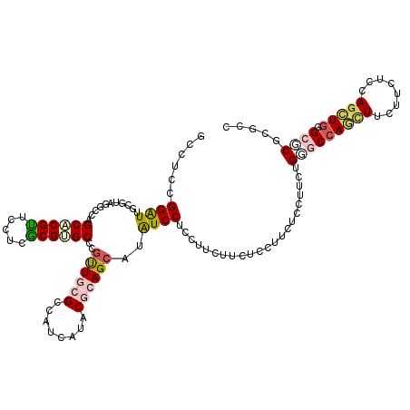 secondary structure