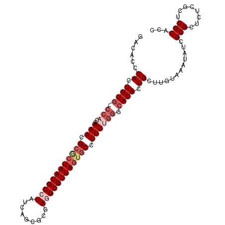 secondary structure