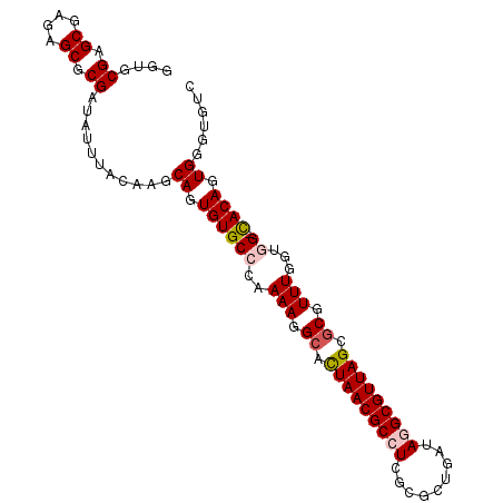 secondary structure