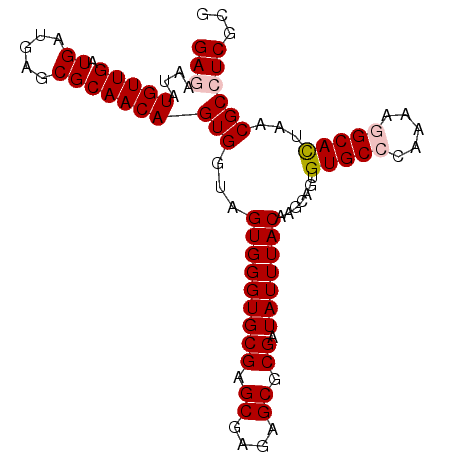 secondary structure