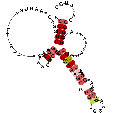 secondary structure