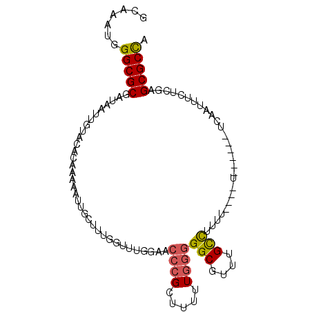 secondary structure