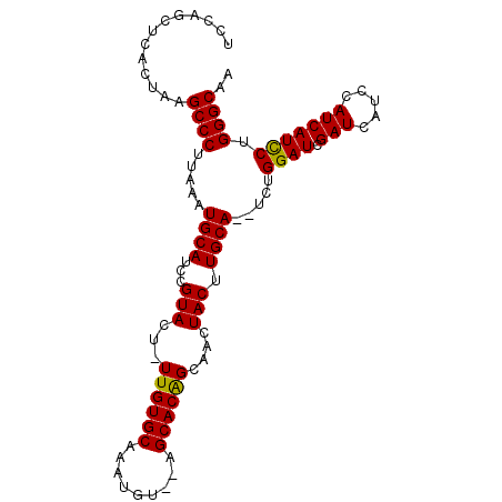 secondary structure