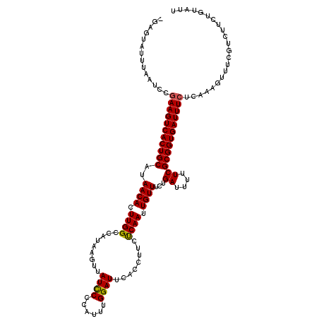 secondary structure