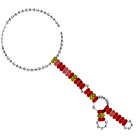 secondary structure