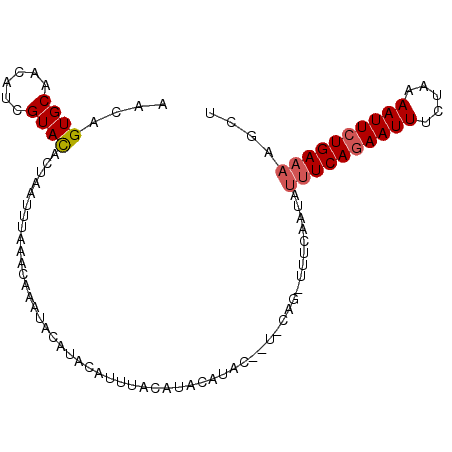 secondary structure