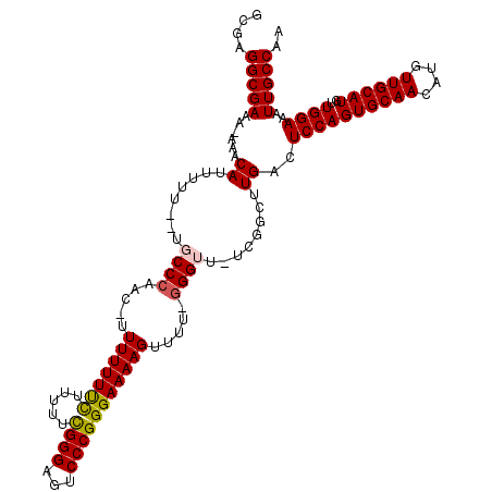secondary structure