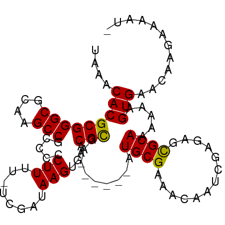 secondary structure
