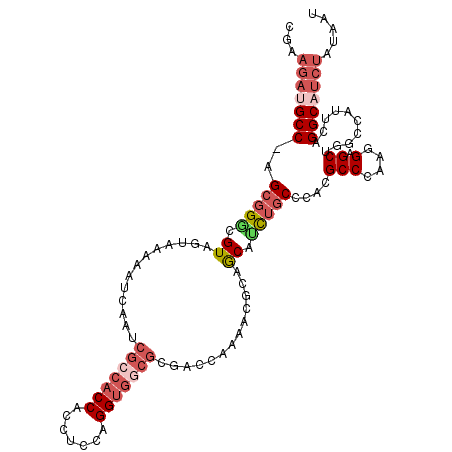 secondary structure