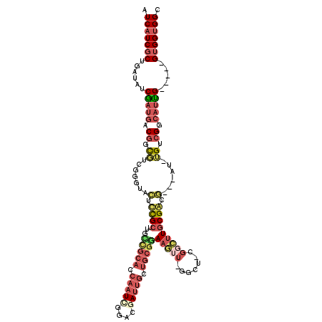 secondary structure