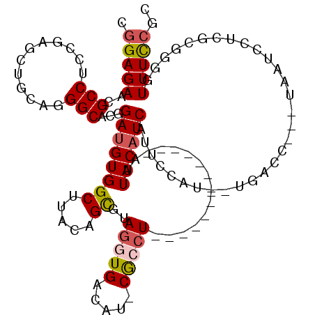 secondary structure
