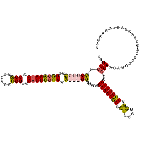 secondary structure