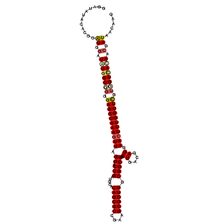 secondary structure