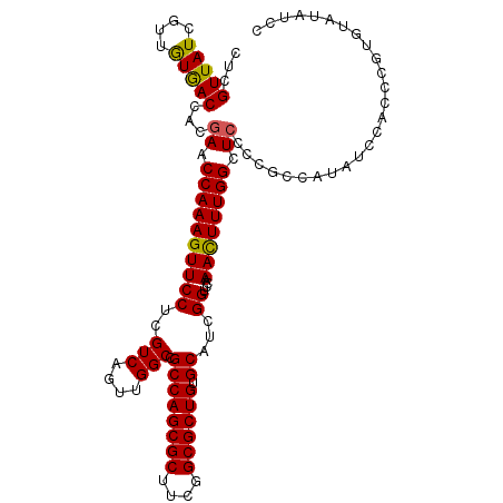 secondary structure