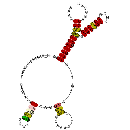 secondary structure