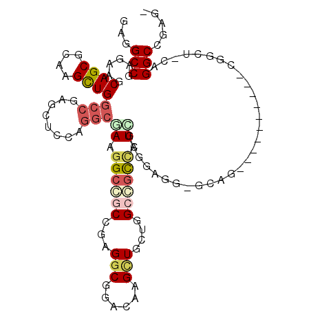 secondary structure