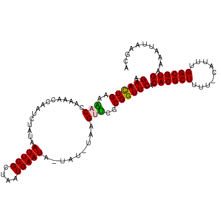 secondary structure