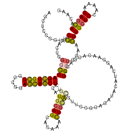 secondary structure