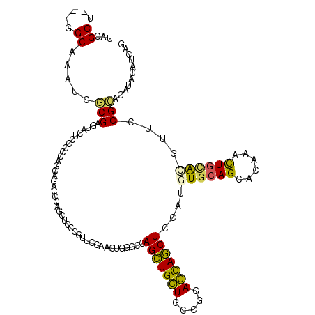 secondary structure