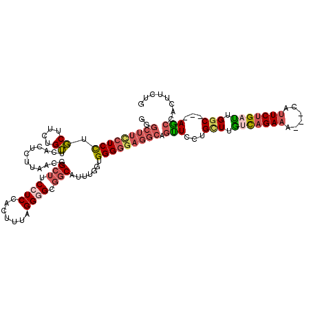 secondary structure