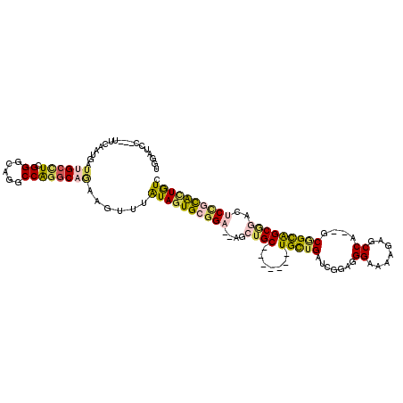 secondary structure