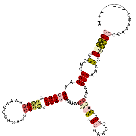 secondary structure