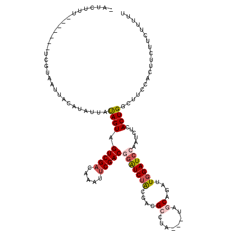 secondary structure