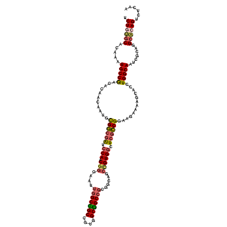 secondary structure