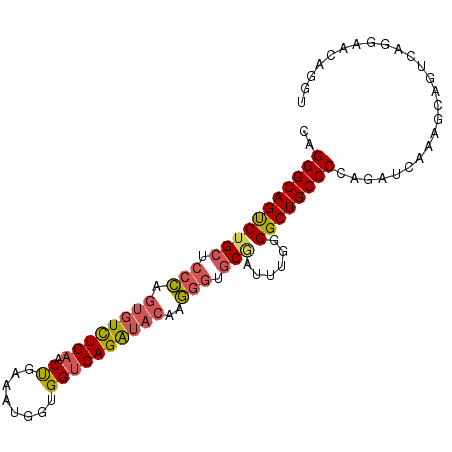 secondary structure