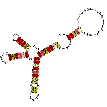 secondary structure