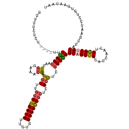 secondary structure