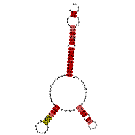 secondary structure