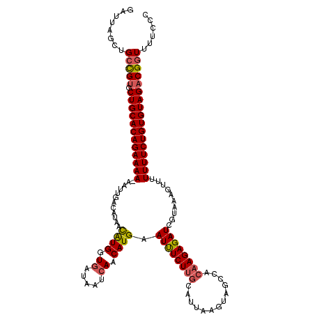 secondary structure