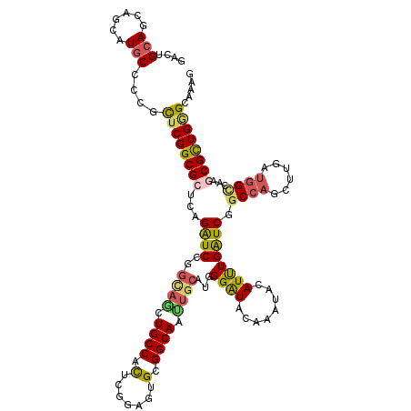 secondary structure