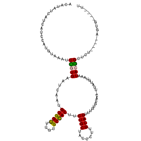 secondary structure