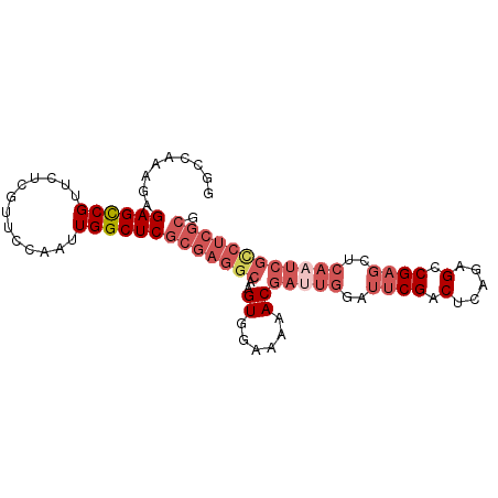 secondary structure