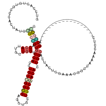 secondary structure