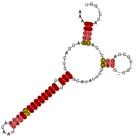 secondary structure