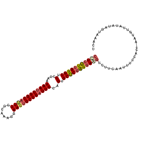 secondary structure